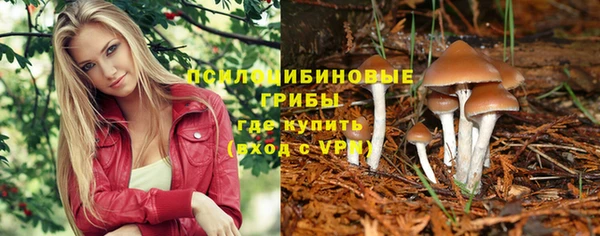 mix Медногорск
