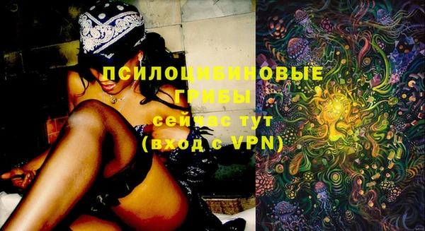 меф Медвежьегорск